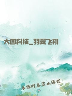 大国科技