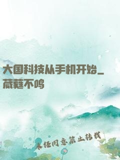 大国科技从手机开始