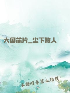 大国芯片