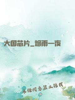 大国芯片