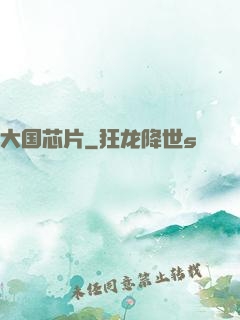 大国芯片