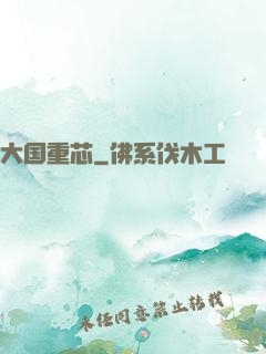 大国重芯