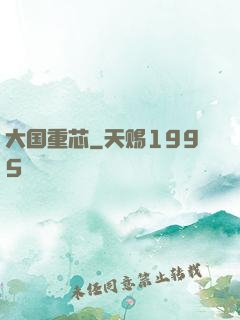 大国重芯