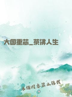 大国重芯
