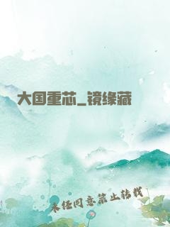 大国重芯