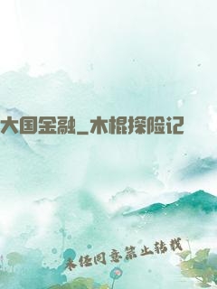 大国金融