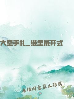 大圣手札