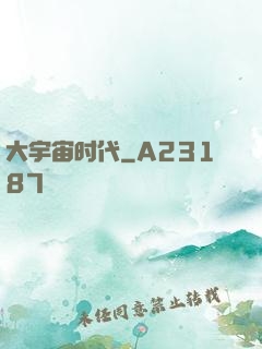 大宇宙时代