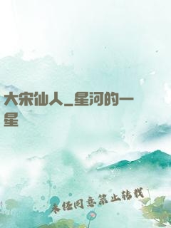 大宋仙人