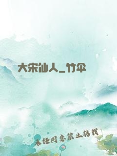 大宋仙人