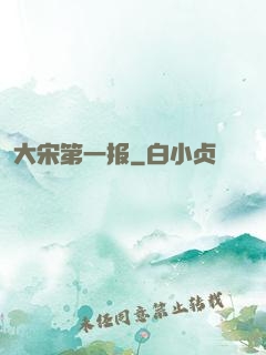 大宋第一报