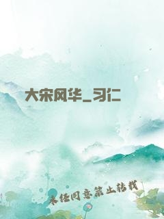 大宋风华