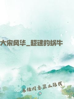 大宋风华