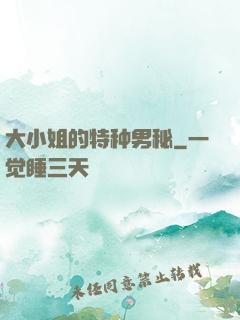 大小姐的特种男秘
