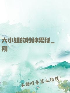 大小姐的特种男秘