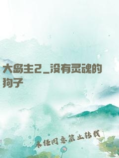 大岛主2