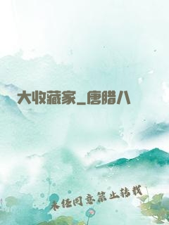 大收藏家