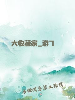 大收藏家