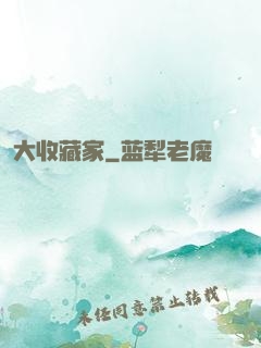 大收藏家