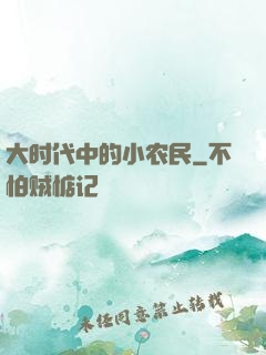 大时代中的小农民