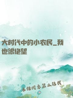 大时代中的小农民