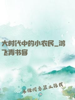 大时代中的小农民