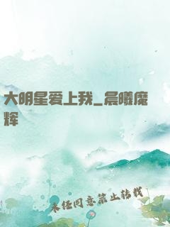 大明星爱上我