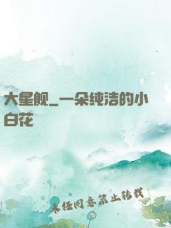 大星舰