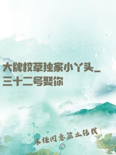 大牌校草独家小丫头
