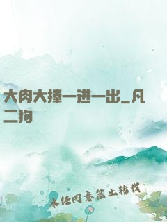 大肉大捧一进一出
