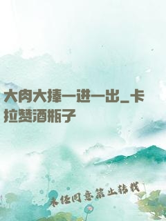 大肉大捧一进一出