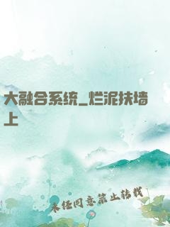 大融合系统