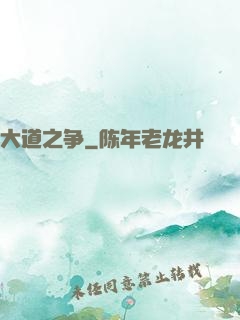 大道之争