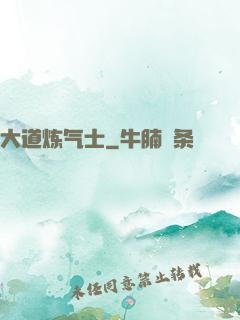 大道炼气士