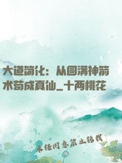 大道简化：从圆满神箭术苟成真仙