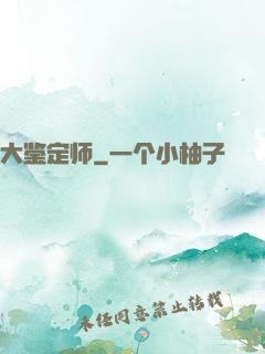 大鉴定师