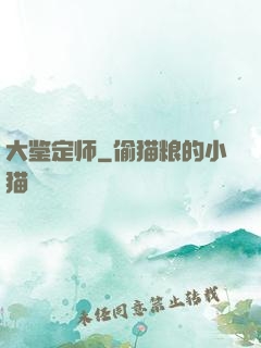 大鉴定师