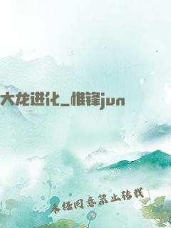 大龙进化