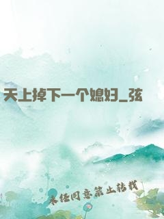 天上掉下一个媳妇