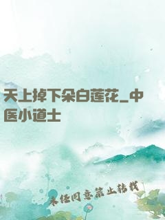 天上掉下朵白莲花