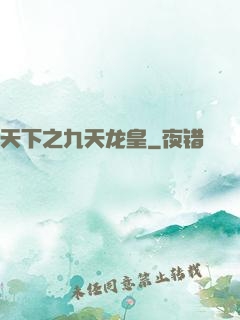 天下之九天龙皇