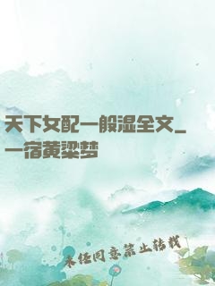 天下女配一般湿全文
