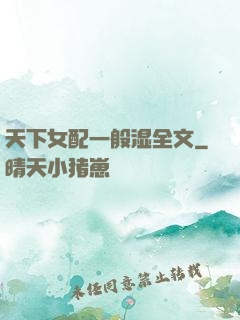 天下女配一般湿全文