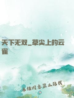 天下无双