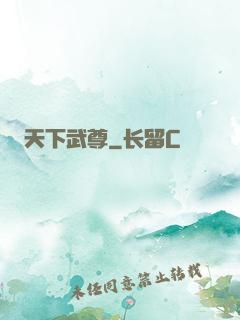 天下武尊