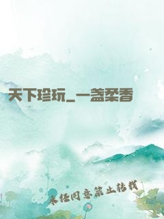 天下珍玩
