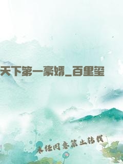 天下第一豪婿