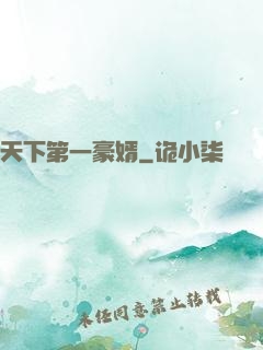 天下第一豪婿