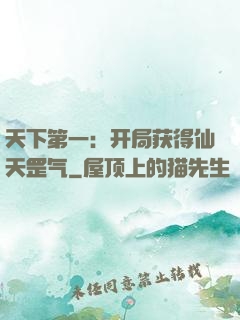 天下第一：开局获得仙天罡气