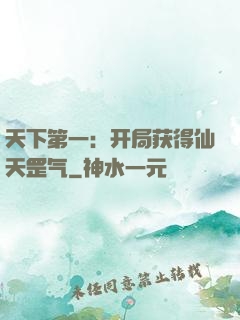 天下第一：开局获得仙天罡气
